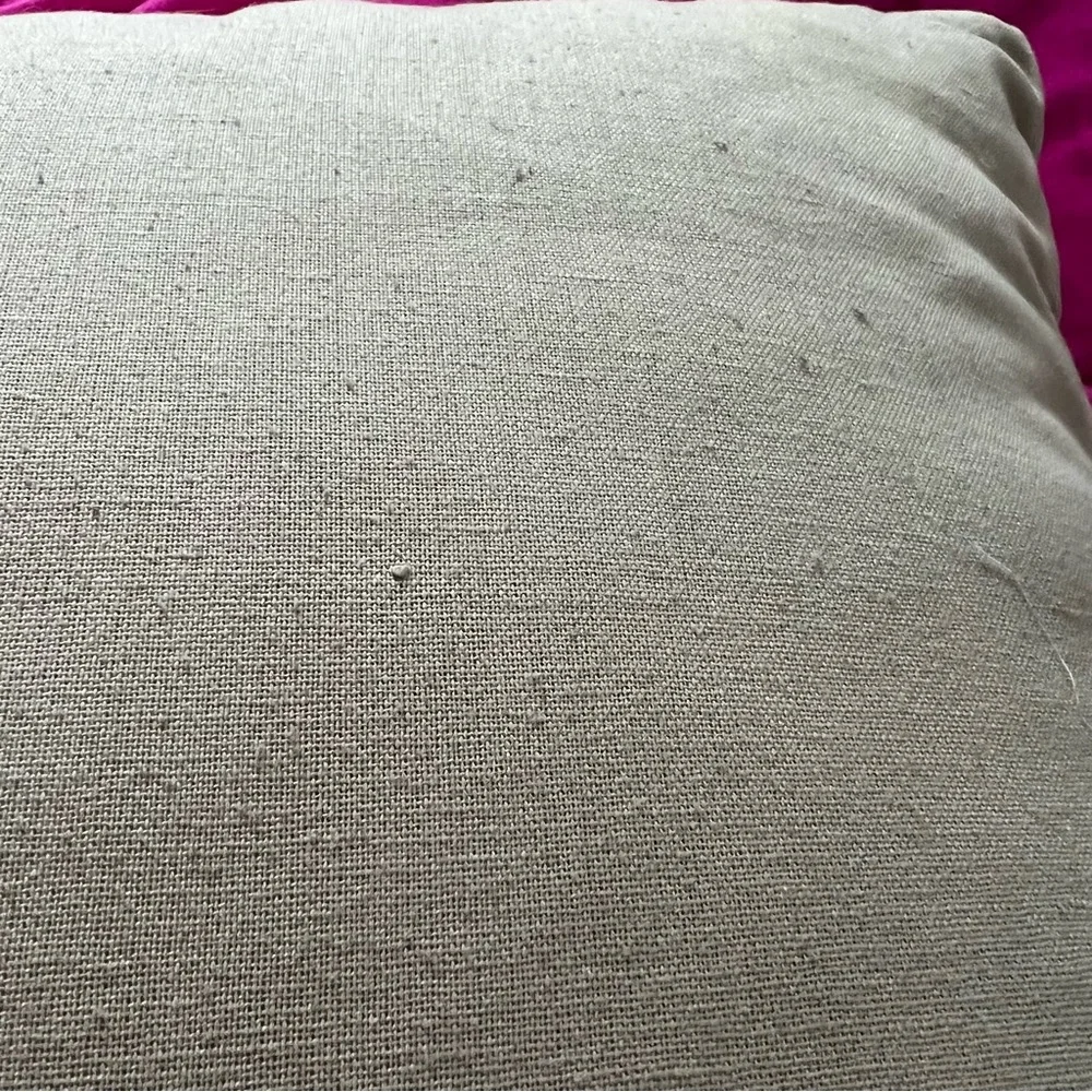 West Elm Sequin Blue & Tan Pillow